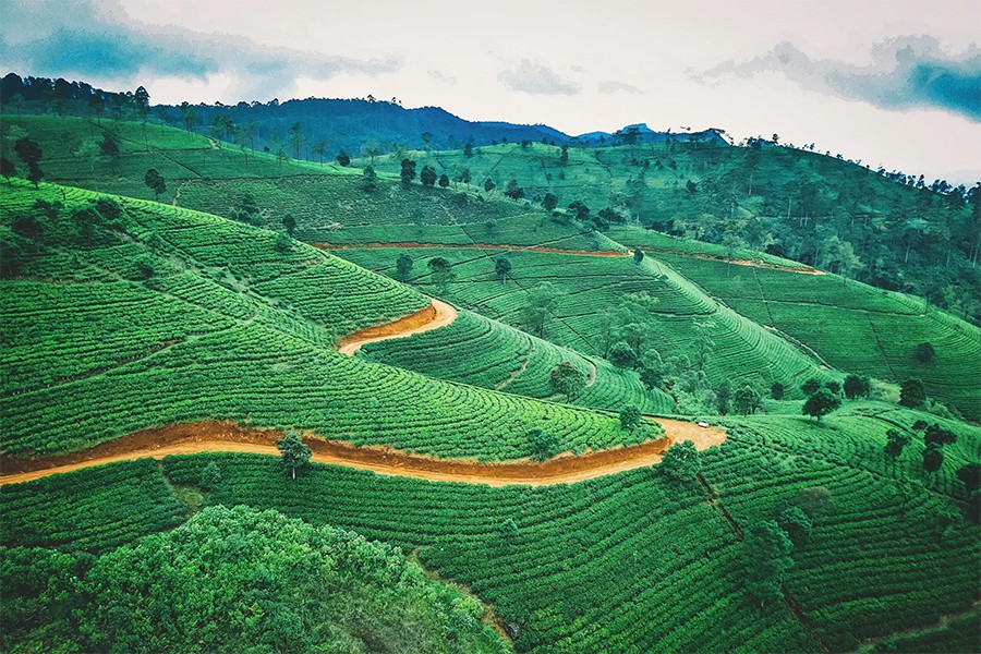 Sri Lanka